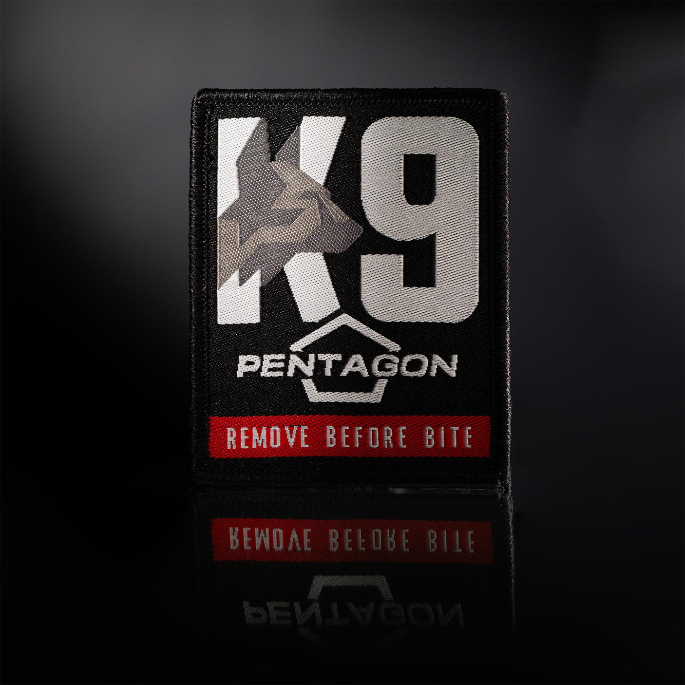 Pentagon K9 Patch
