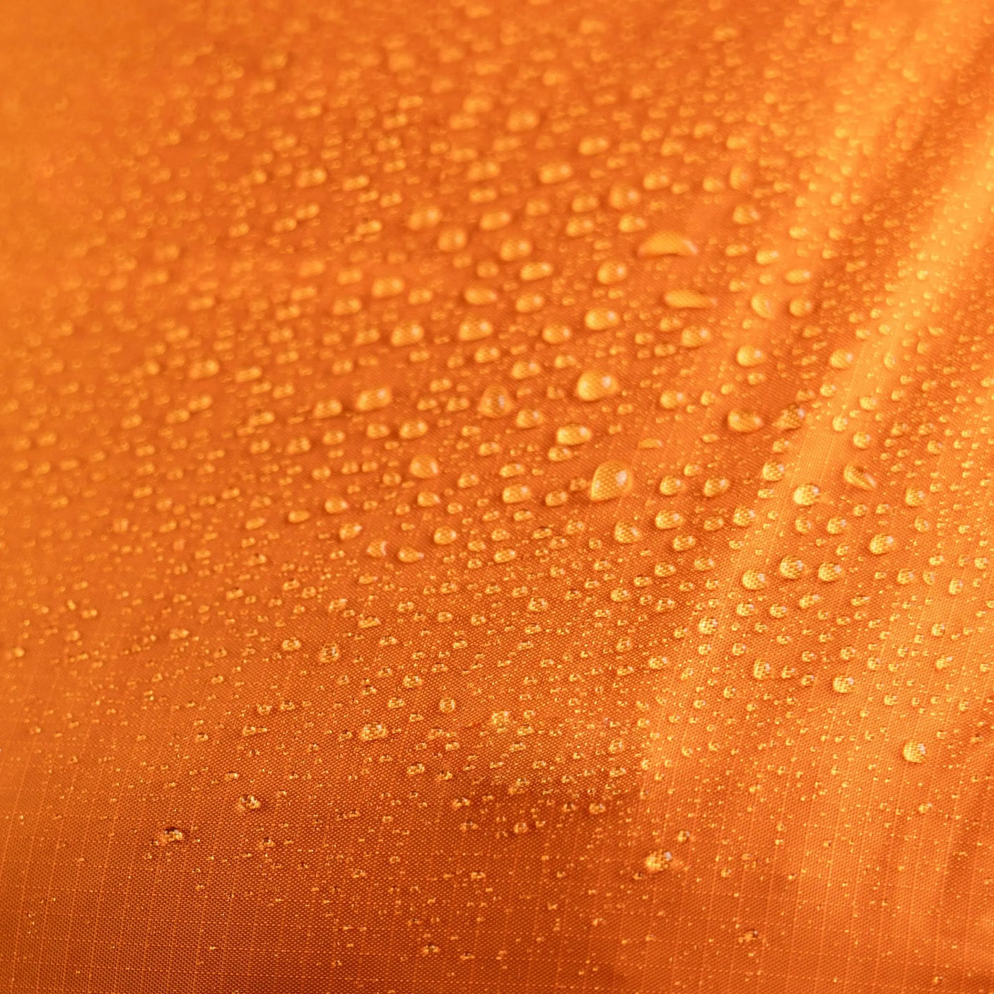 Highlander Ducks Raincover Medium (35-45L) Highlander Forces