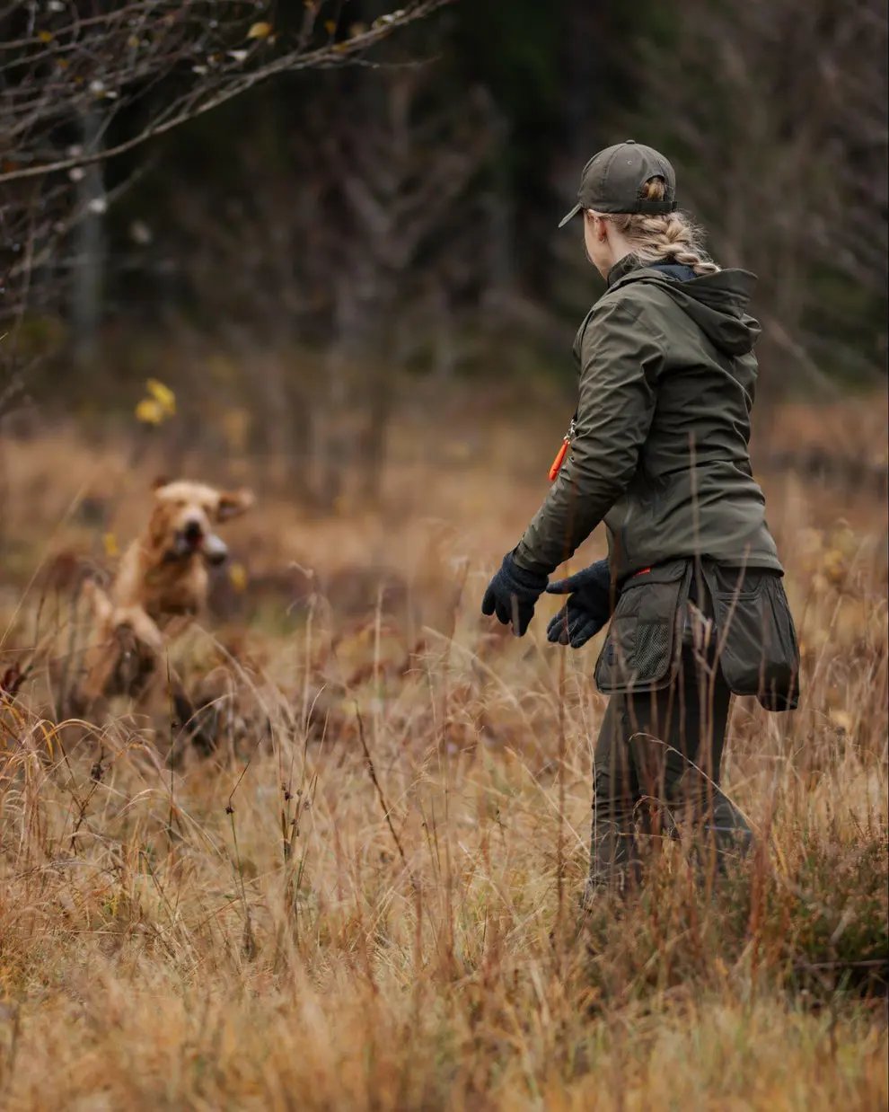 Pinewood® Dog Sports Utility Bälte Pinewood