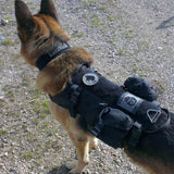 SNIGEL Hundmärke -12 - Polisprylar.se